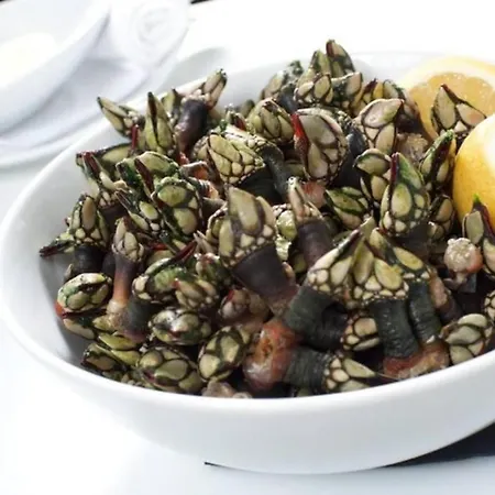 Azinhanca Do Mar Lourinhã